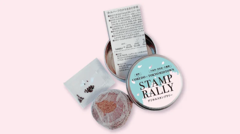 先着800名様に、缶で育てる栽培キット「リトルハーブ」をプレゼント！