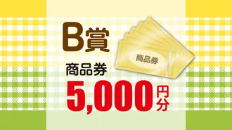 B賞（抽選券）