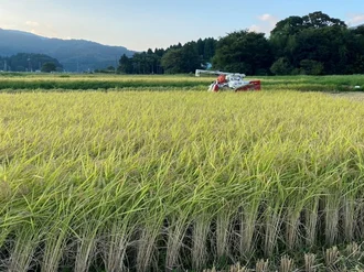 【3ポイント】湖北のお米　2025年産米2kg　応募権（10名様）