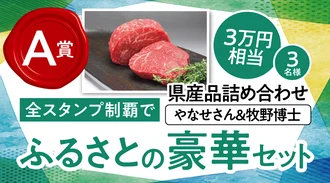 【A賞】県産品詰め合わせ やなせさん＆牧野博士「ふるさとの豪華セット」
