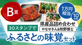 【B賞】県産品詰め合わせ やなせさん＆牧野博士「ふるさとの味覚セット」