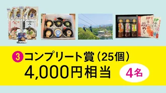コンプリート賞  エントリー権