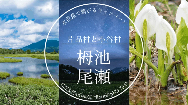 小谷村＆片品村をめぐる！ みずばしょうが繋ぐスタンプキャンペーン