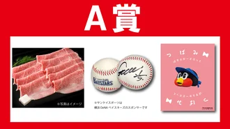 A賞（30ポイント）